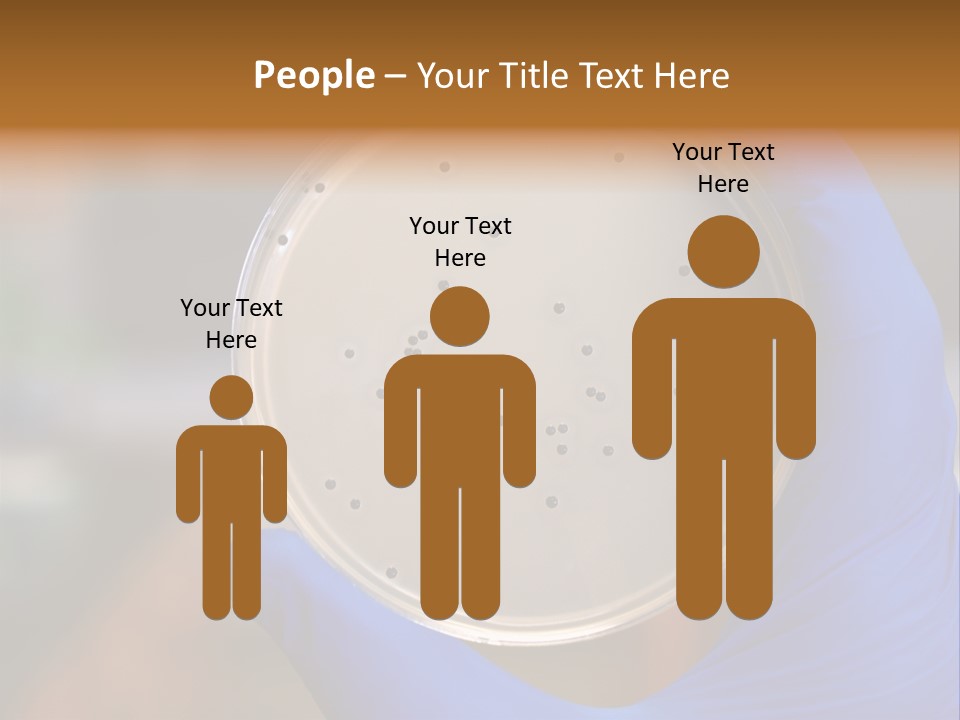 A Person In Blue Gloves Holding A Petri Dish PowerPoint Template
