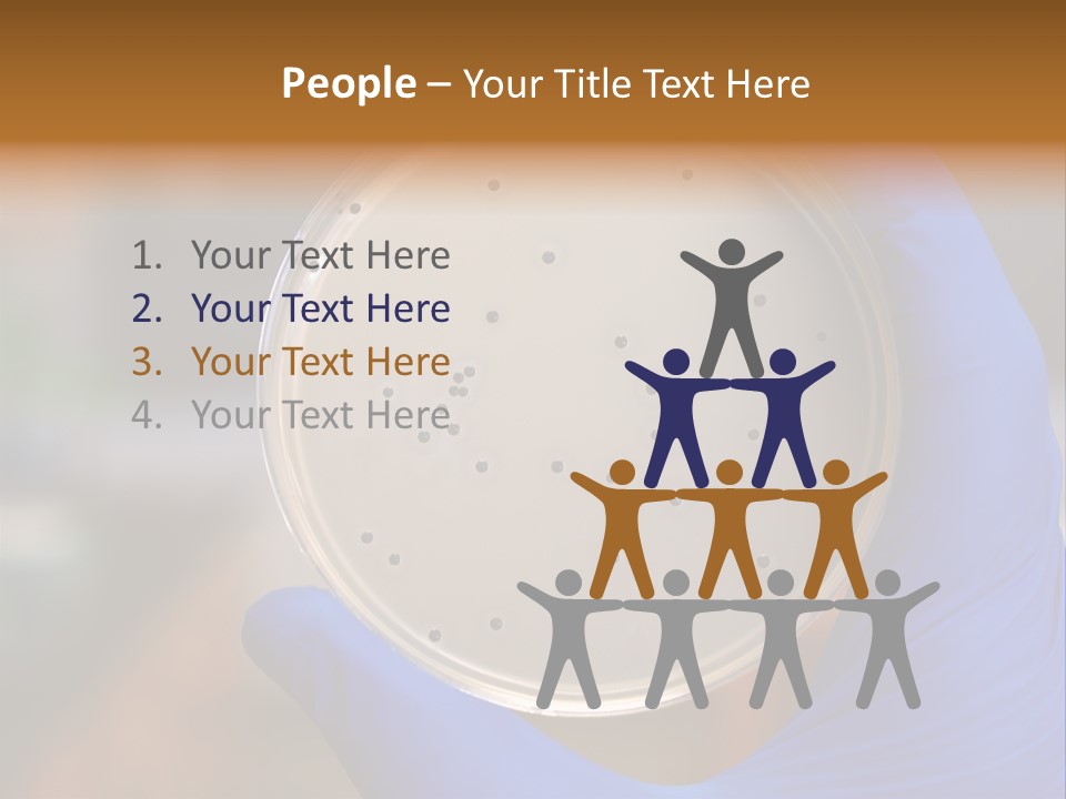 A Person In Blue Gloves Holding A Petri Dish PowerPoint Template