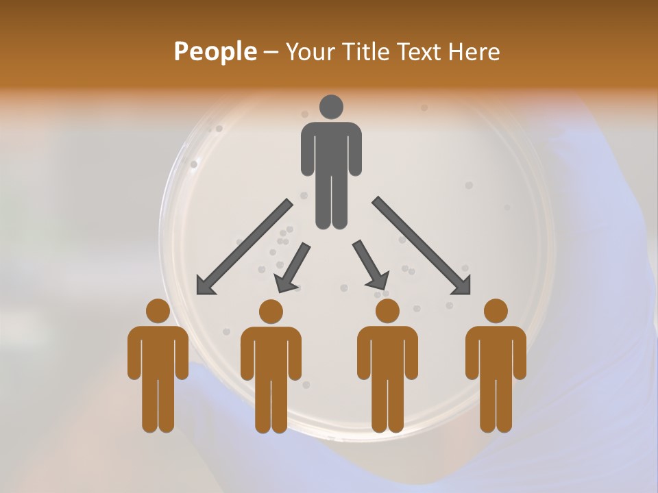 A Person In Blue Gloves Holding A Petri Dish PowerPoint Template