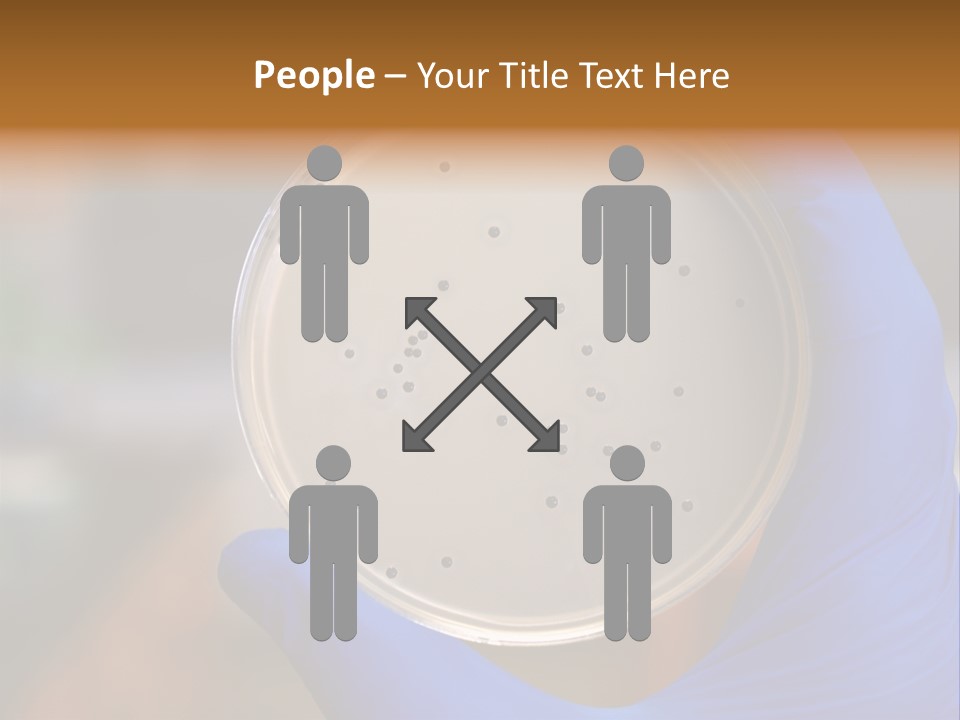 A Person In Blue Gloves Holding A Petri Dish PowerPoint Template