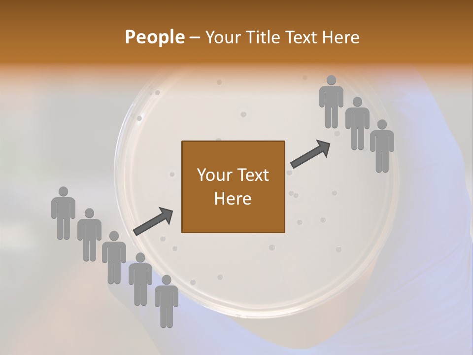 A Person In Blue Gloves Holding A Petri Dish PowerPoint Template