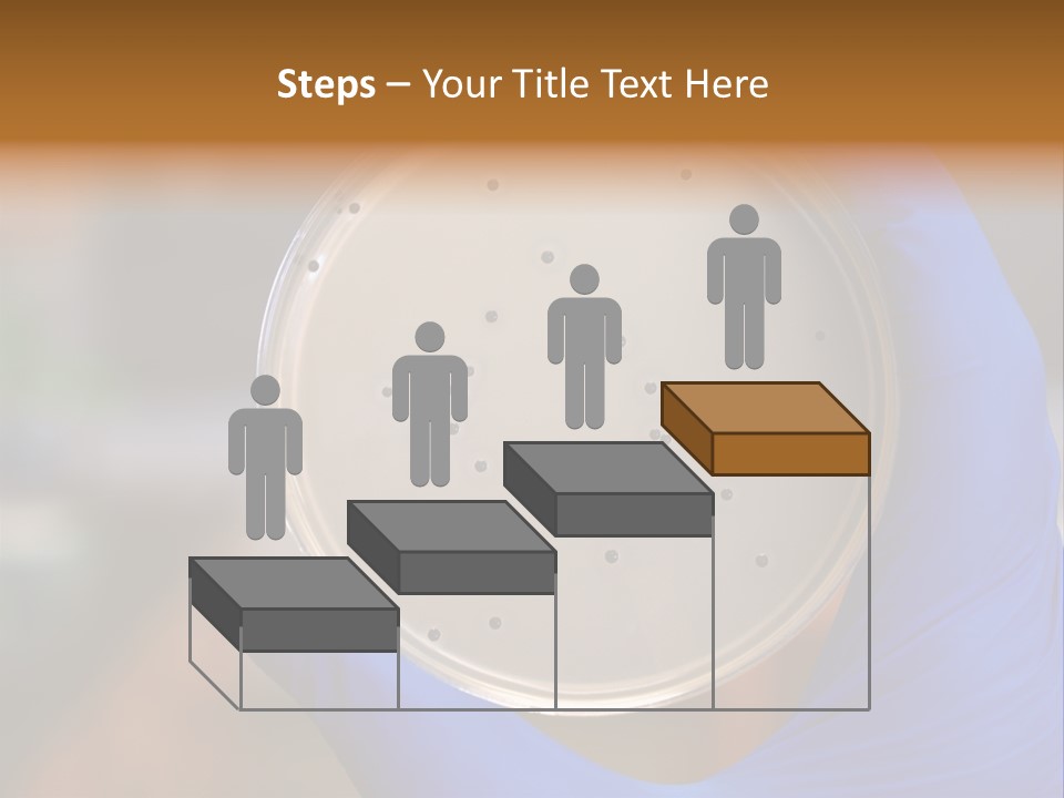 A Person In Blue Gloves Holding A Petri Dish PowerPoint Template