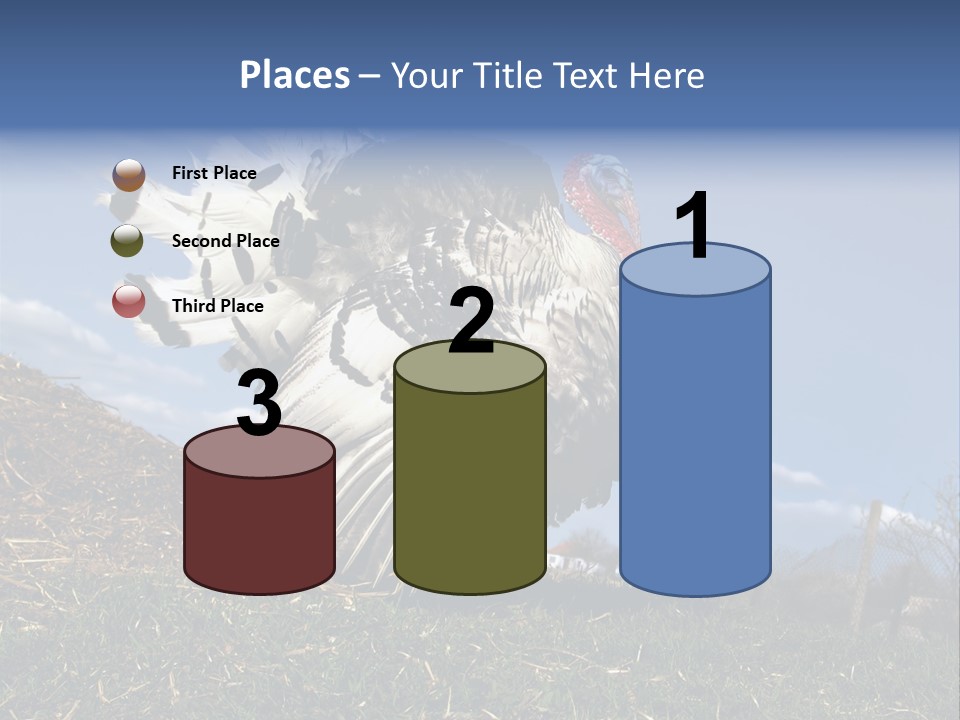 Summer Bigwig Gobbler PowerPoint Template