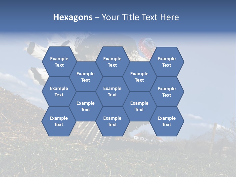 Summer Bigwig Gobbler PowerPoint Template