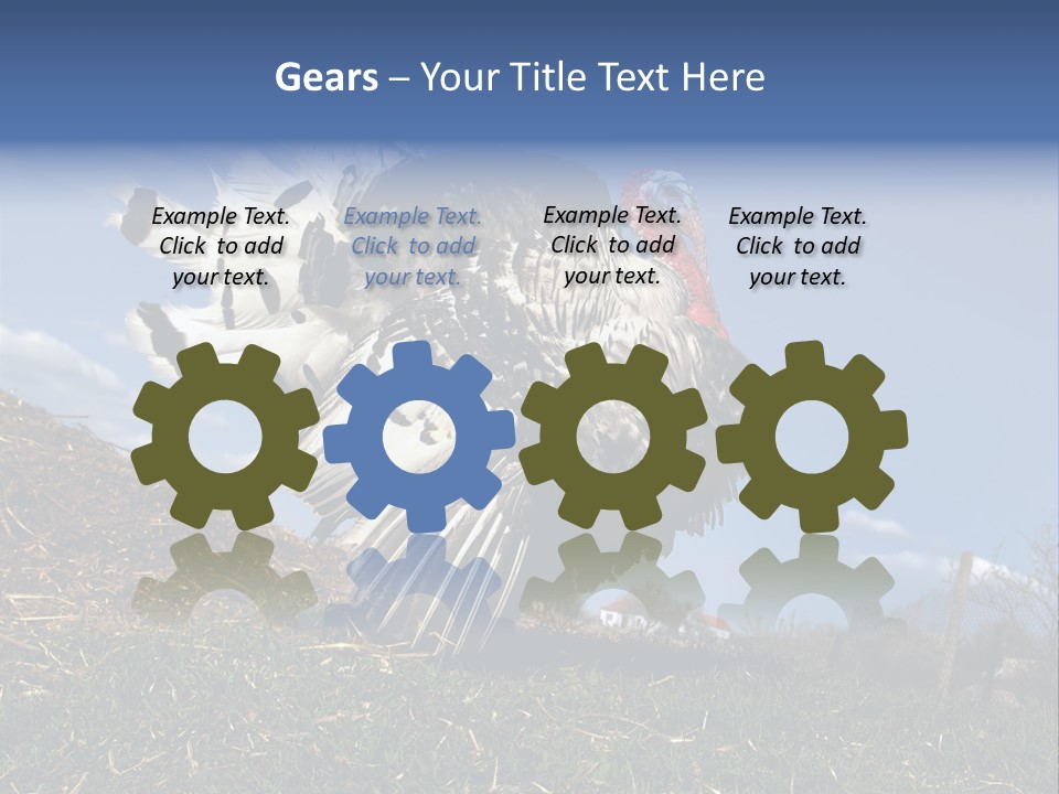 Summer Bigwig Gobbler PowerPoint Template