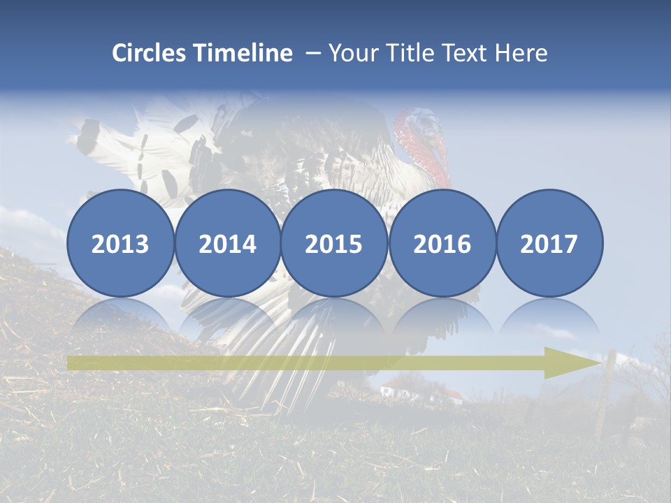 Summer Bigwig Gobbler PowerPoint Template