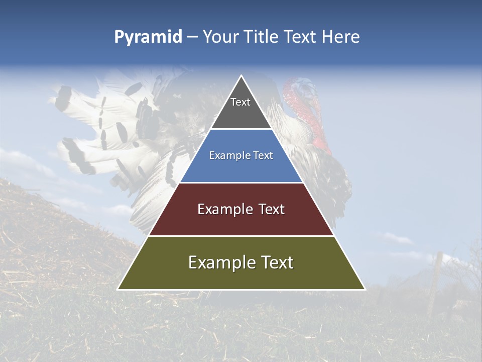 Summer Bigwig Gobbler PowerPoint Template