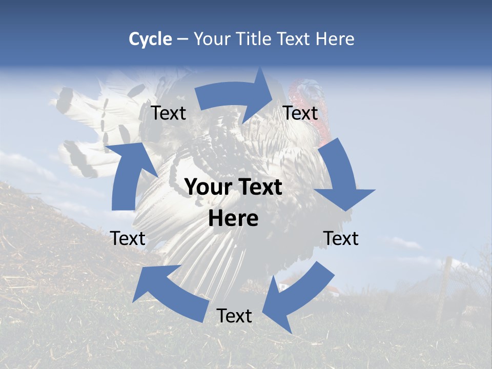 Summer Bigwig Gobbler PowerPoint Template