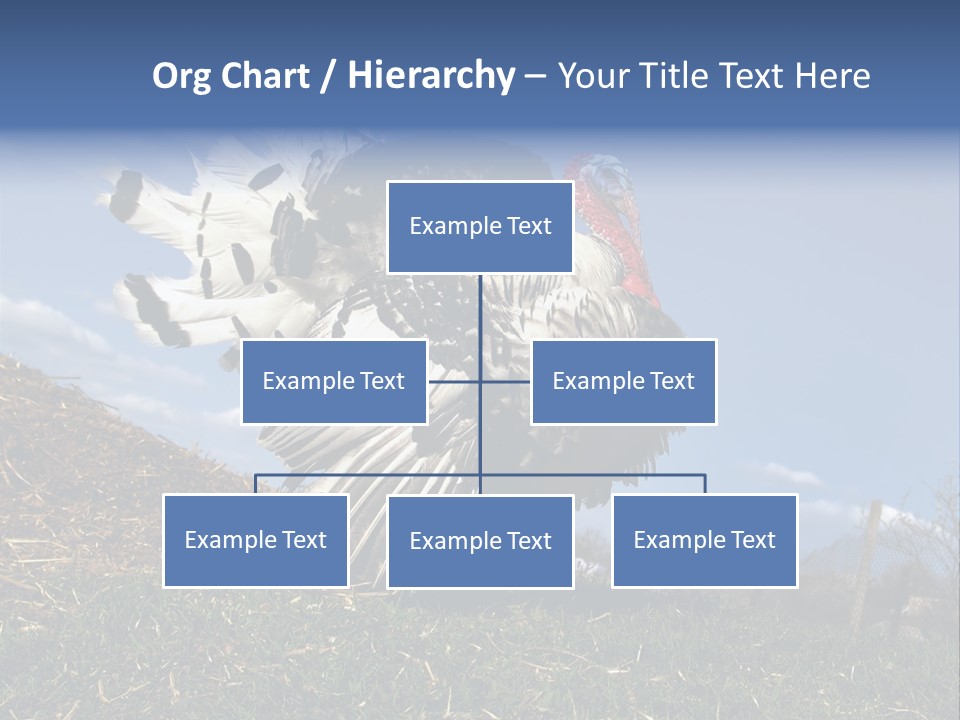 Summer Bigwig Gobbler PowerPoint Template