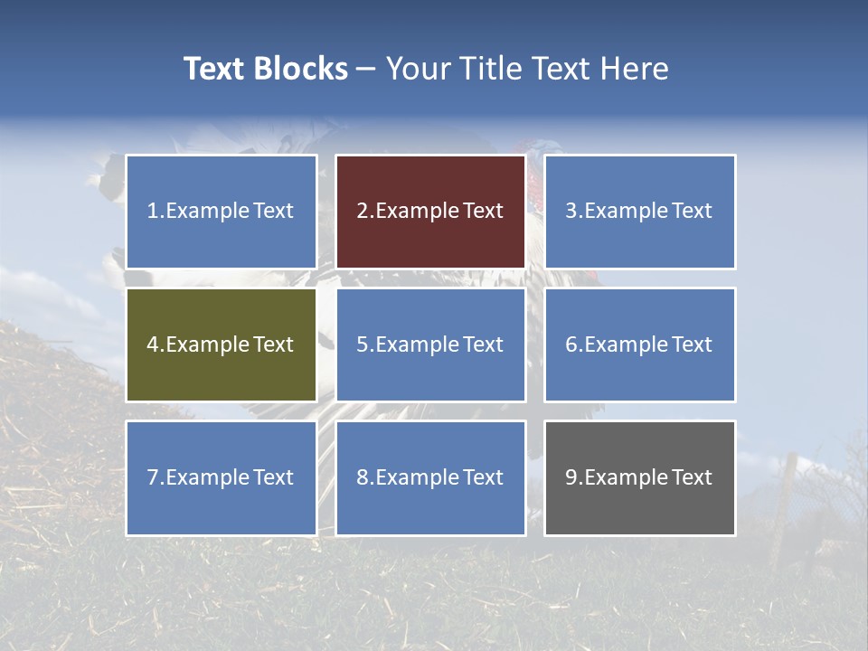 Summer Bigwig Gobbler PowerPoint Template