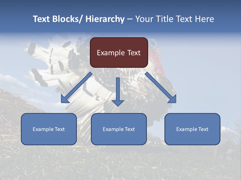 Summer Bigwig Gobbler PowerPoint Template