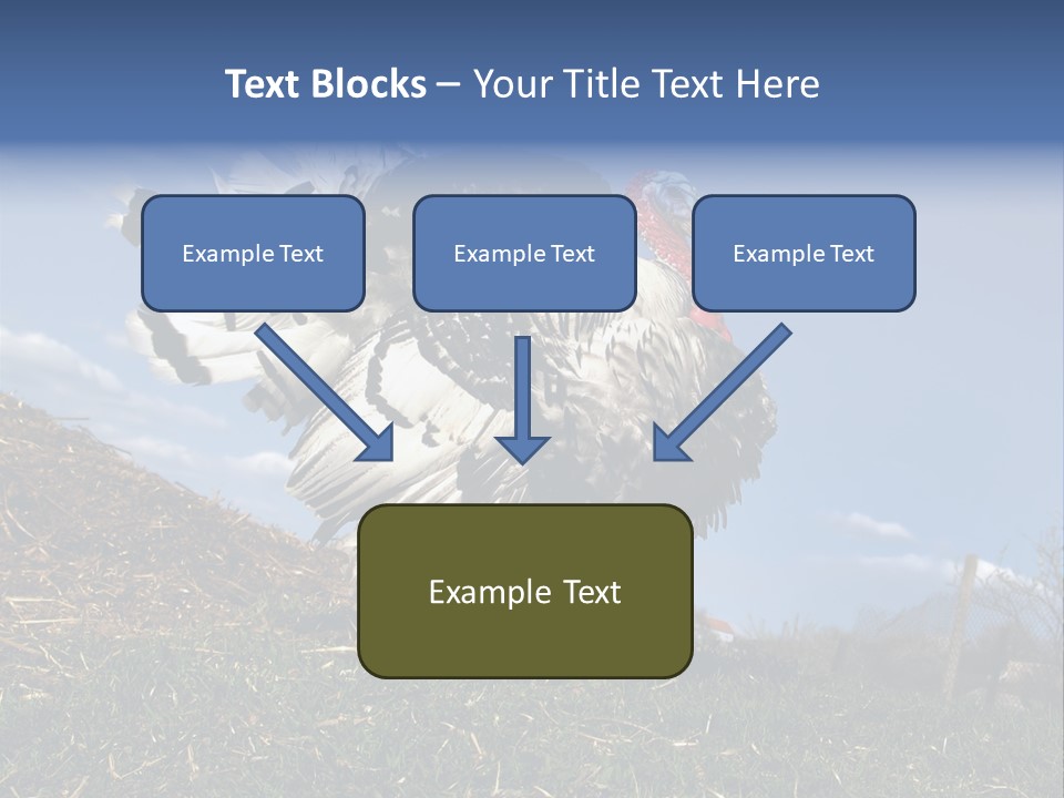 Summer Bigwig Gobbler PowerPoint Template
