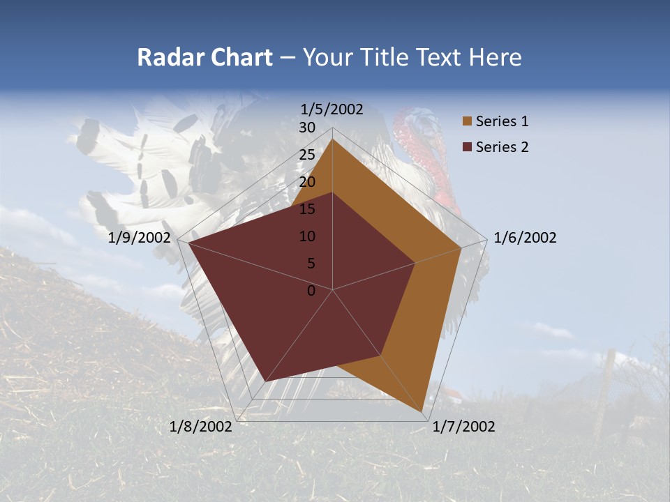 Summer Bigwig Gobbler PowerPoint Template