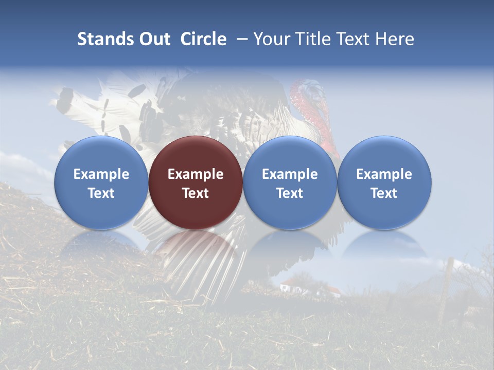 Summer Bigwig Gobbler PowerPoint Template