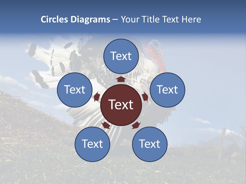 Summer Bigwig Gobbler PowerPoint Template