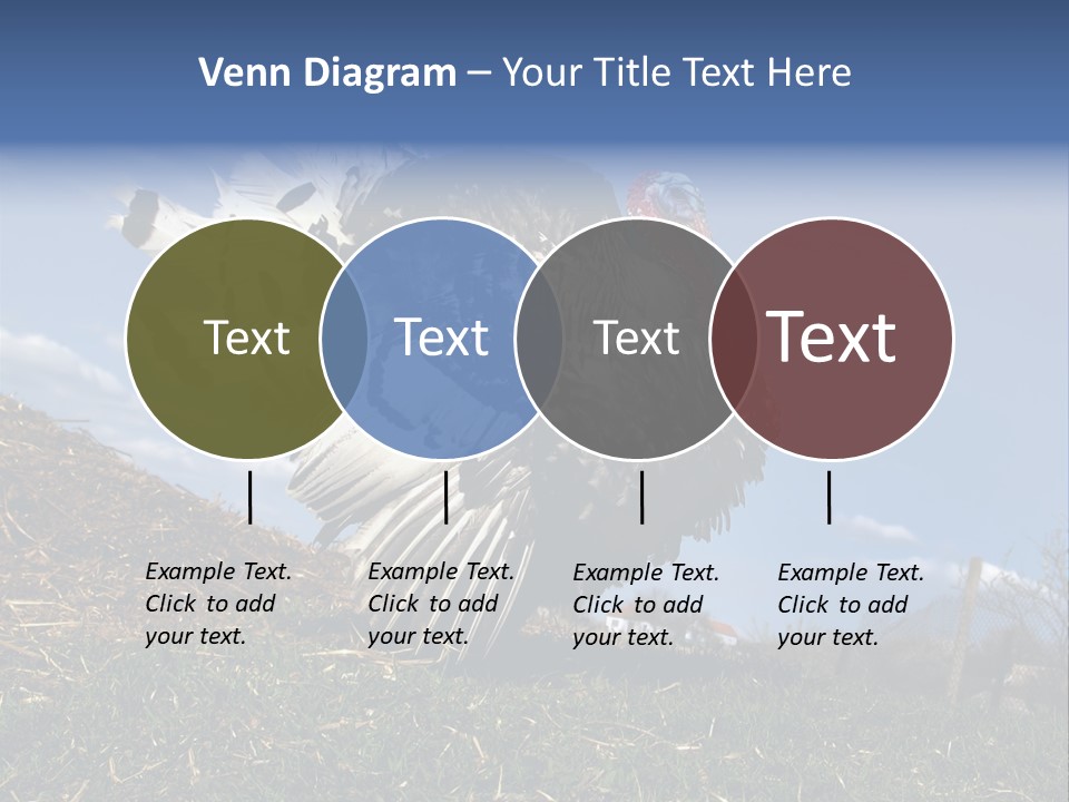Summer Bigwig Gobbler PowerPoint Template