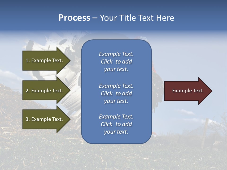 Summer Bigwig Gobbler PowerPoint Template