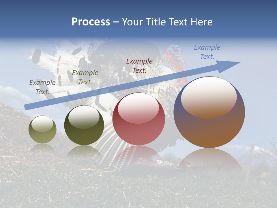 Summer Bigwig Gobbler PowerPoint Template