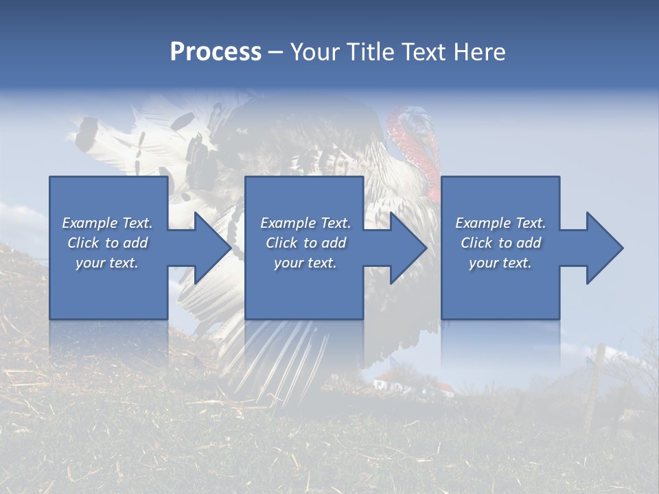 Summer Bigwig Gobbler PowerPoint Template