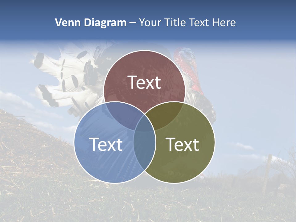 Summer Bigwig Gobbler PowerPoint Template