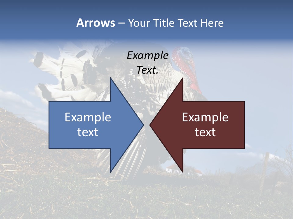 Summer Bigwig Gobbler PowerPoint Template