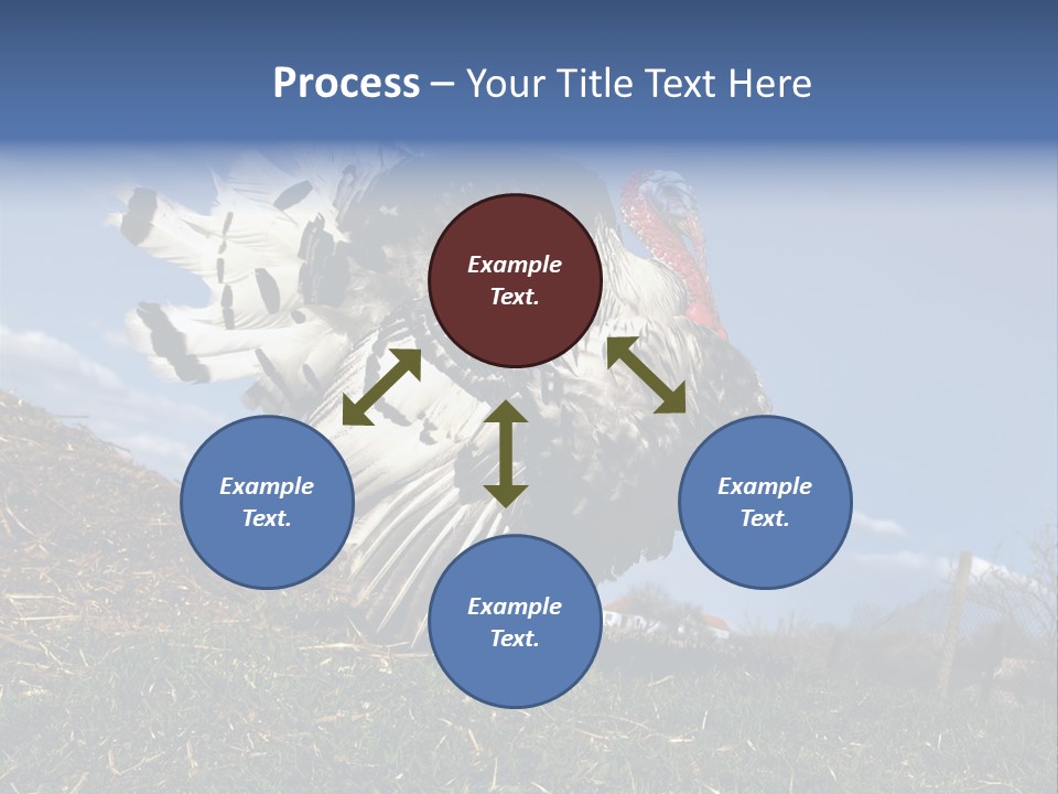 Summer Bigwig Gobbler PowerPoint Template