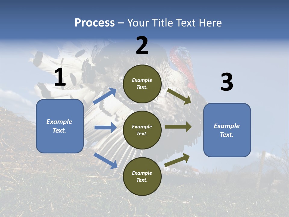 Summer Bigwig Gobbler PowerPoint Template