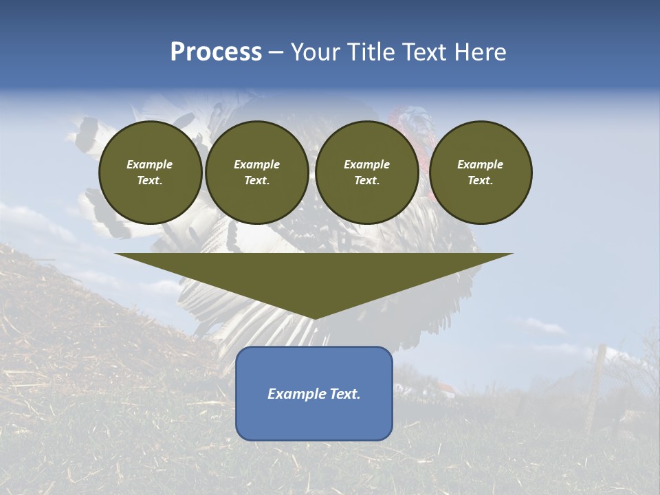 Summer Bigwig Gobbler PowerPoint Template