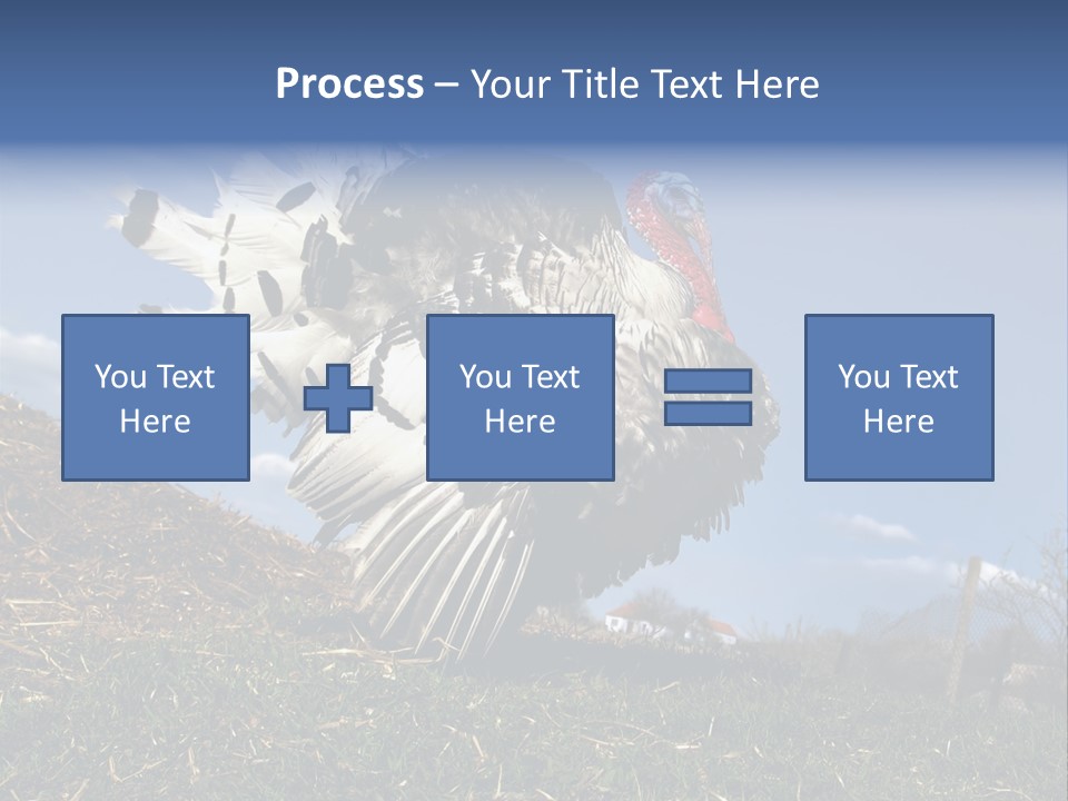 Summer Bigwig Gobbler PowerPoint Template