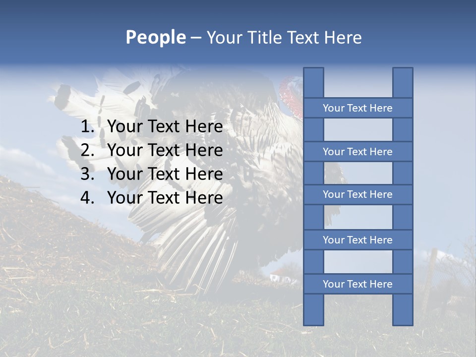Summer Bigwig Gobbler PowerPoint Template