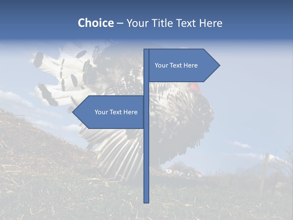 Summer Bigwig Gobbler PowerPoint Template