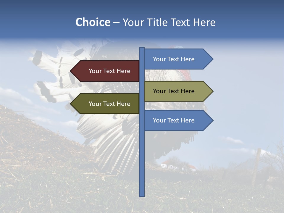 Summer Bigwig Gobbler PowerPoint Template