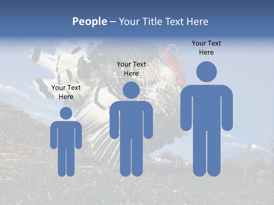 Summer Bigwig Gobbler PowerPoint Template