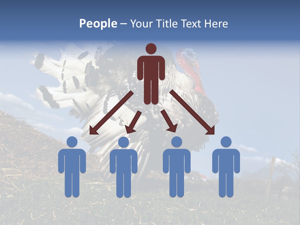 Summer Bigwig Gobbler PowerPoint Template