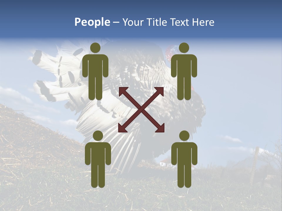 Summer Bigwig Gobbler PowerPoint Template