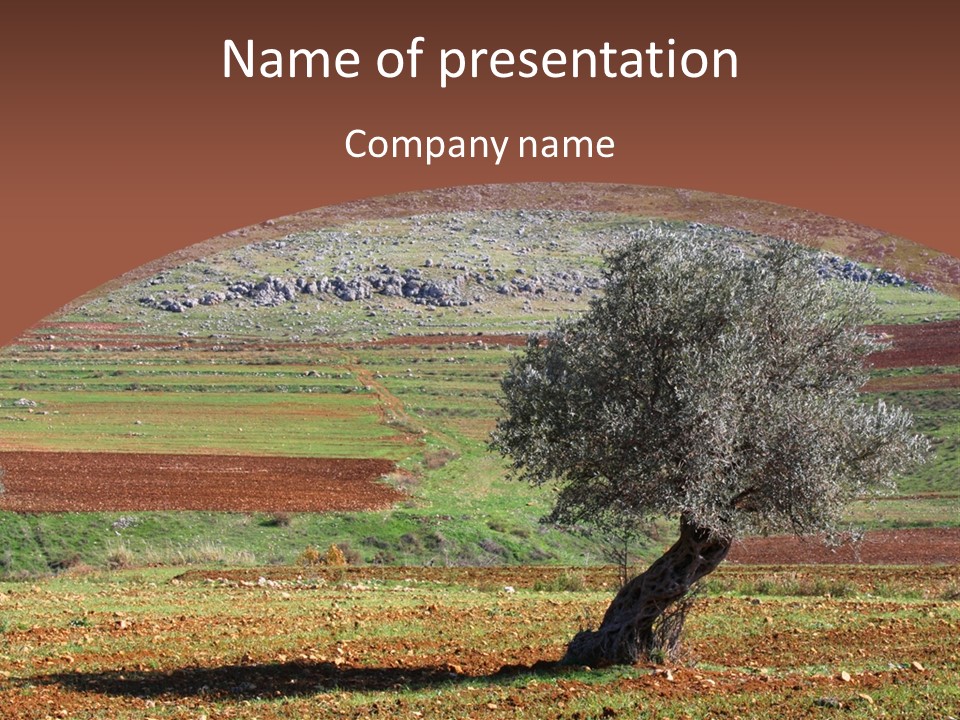 A Tree In A Field With A Mountain In The Background PowerPoint Template
