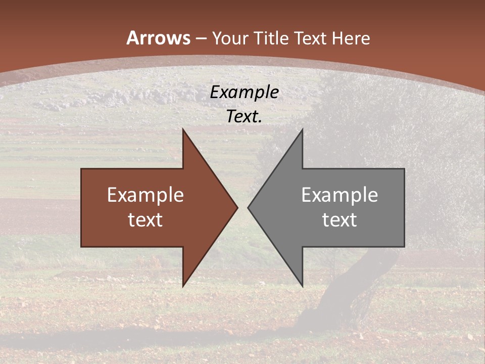 A Tree In A Field With A Mountain In The Background PowerPoint Template