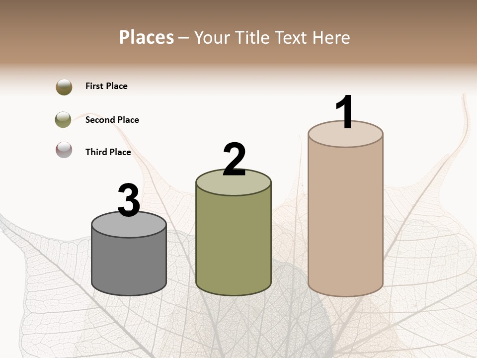 Czech Republic Insignia Element PowerPoint Template