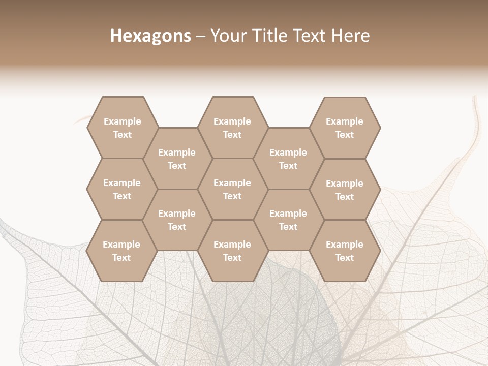 Czech Republic Insignia Element PowerPoint Template