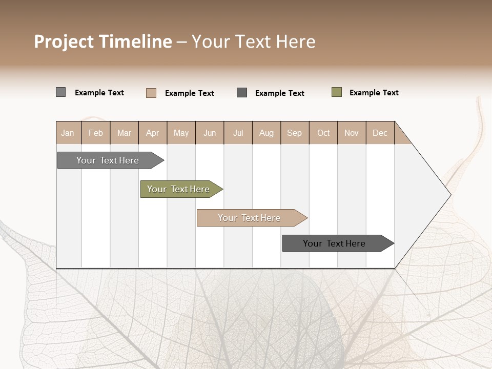 Czech Republic Insignia Element PowerPoint Template
