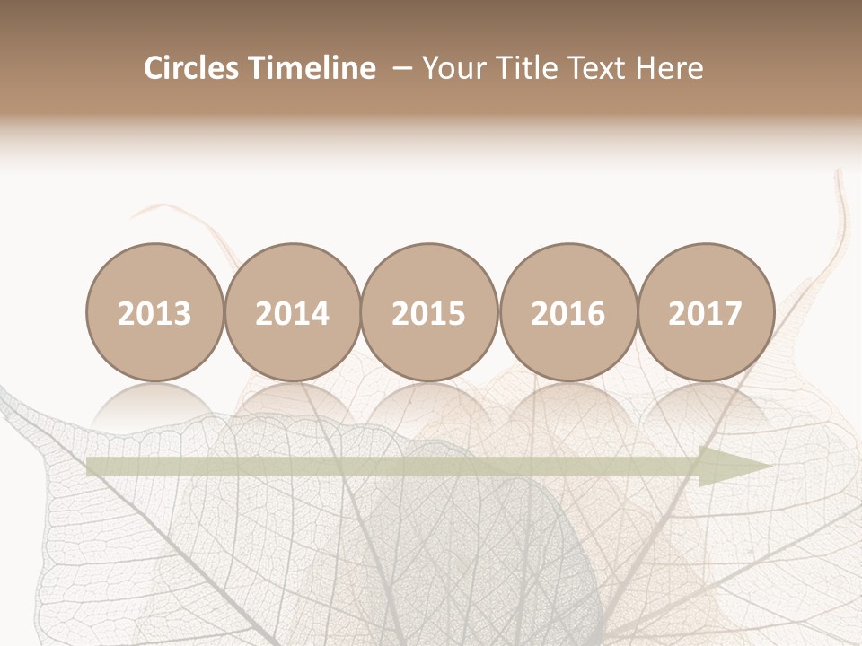 Czech Republic Insignia Element PowerPoint Template