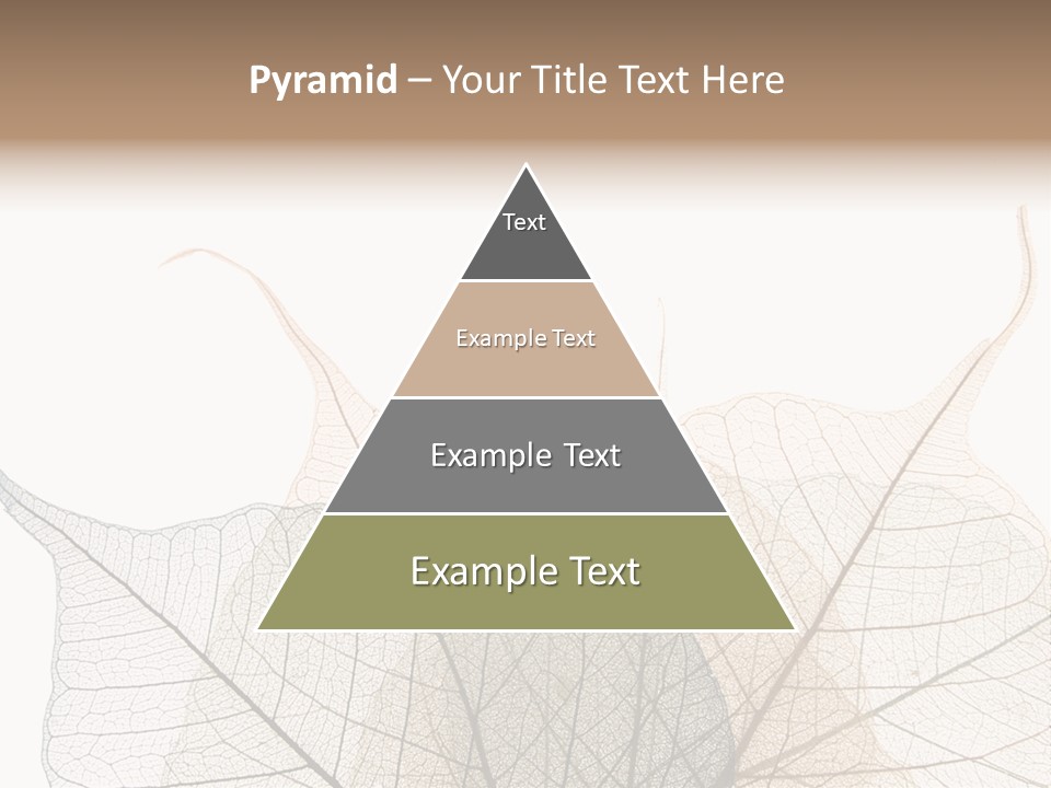 Czech Republic Insignia Element PowerPoint Template