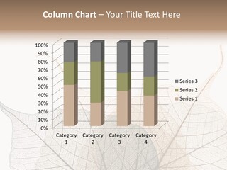 Czech Republic Insignia Element PowerPoint Template