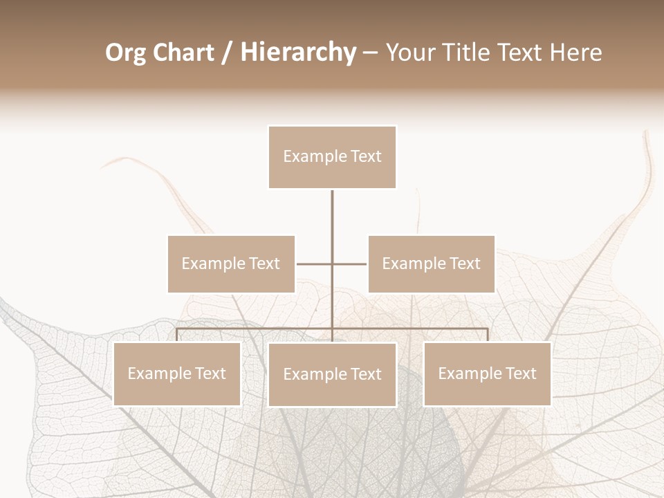 Czech Republic Insignia Element PowerPoint Template