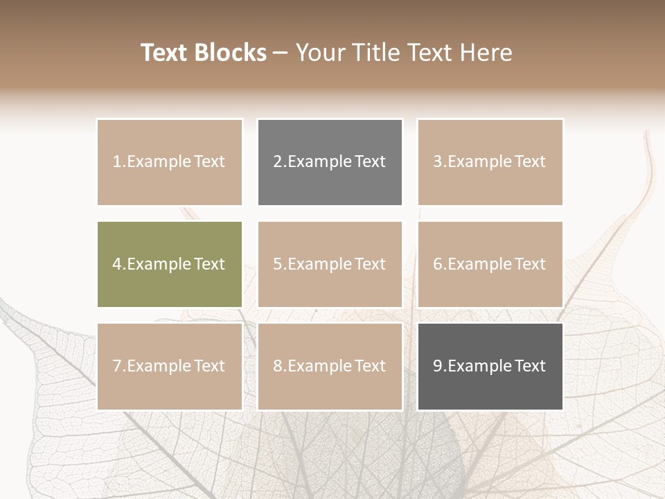 Czech Republic Insignia Element PowerPoint Template