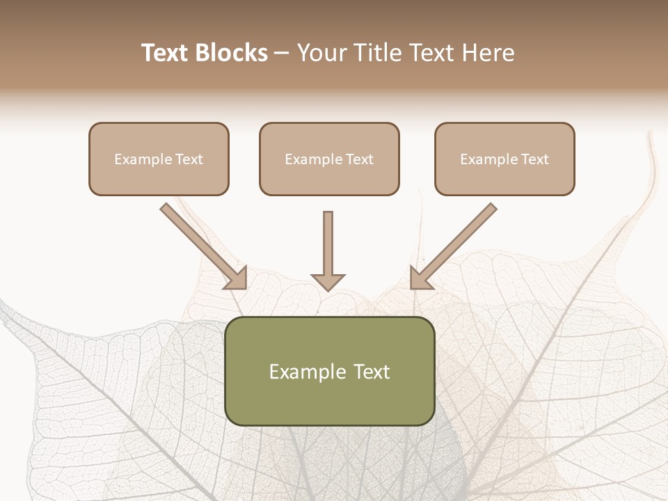 Czech Republic Insignia Element PowerPoint Template