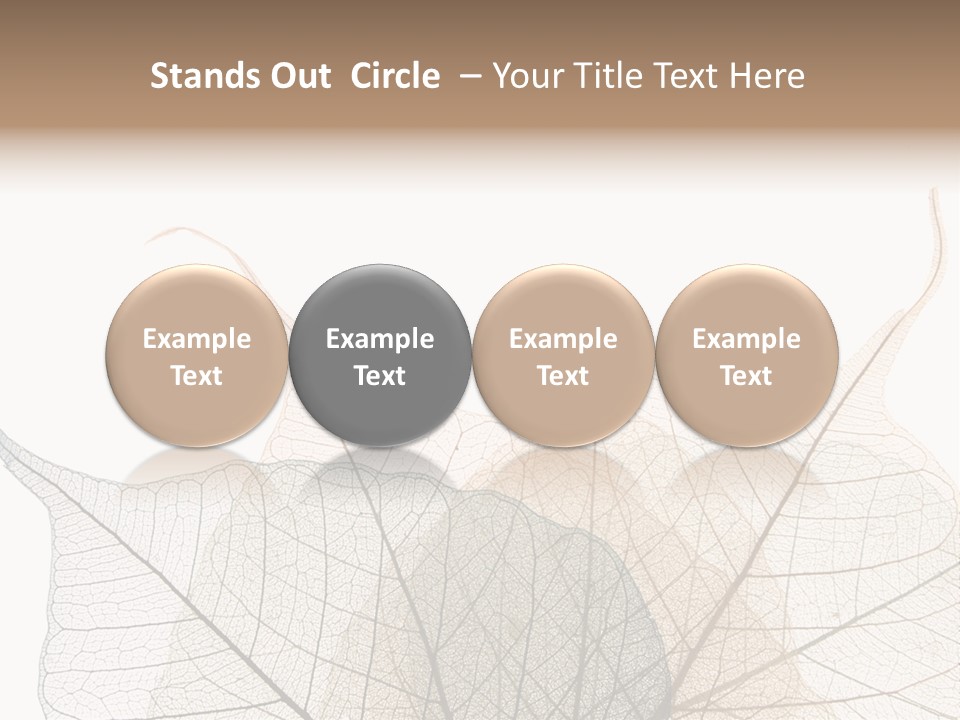 Czech Republic Insignia Element PowerPoint Template