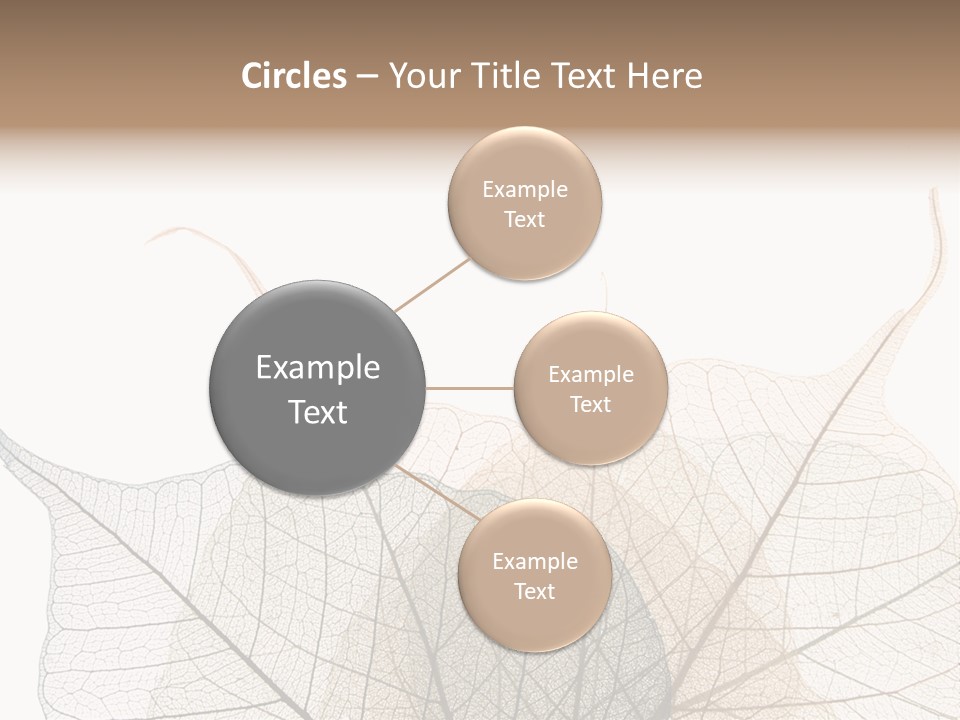 Czech Republic Insignia Element PowerPoint Template