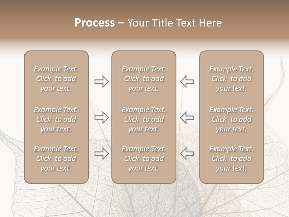 Czech Republic Insignia Element PowerPoint Template
