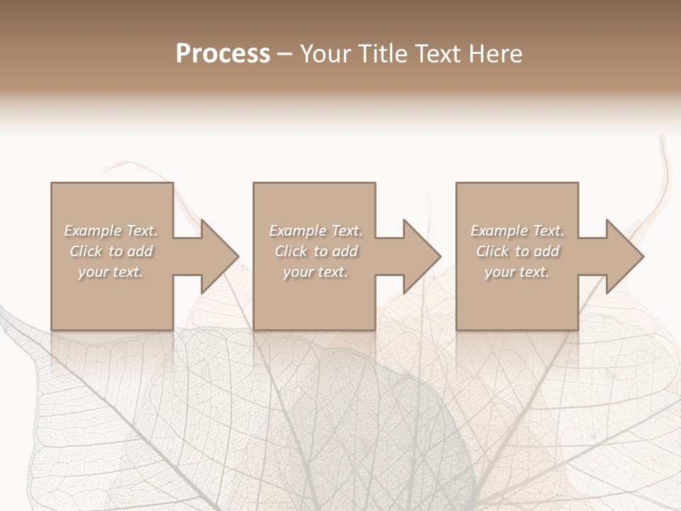 Czech Republic Insignia Element PowerPoint Template